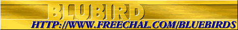        BLUBIRD 